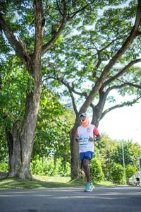 BIB: 
                            <button type="button" onclick="openModal(26545951)" class="btn btn-primary btn-sm float-right btn-popup" data-toggle="modal" data-target=".modal-high-quality">
                        <i class="fas fa-shopping-cart"></i> Add to Cart
                    </button>
                                            <button type="button" onclick="isThisMe(26545951, true)" class="btn btn-success btn-sm float-right btn-popup btn-isme hidden" data-toggle="tooltip" data-placement="bottom" title="นี่คือรูปของคุณใช่ไหม คลิกที่นี่เพื่อเอาเข้าอัลบั้ม">
                        <i class="fas fa-plus"></i> Add to album
                    </button>
                    <button type="button" onclick="isThisMe(26545951, false)" class="btn btn-warning btn-sm float-right btn-popup btn-isnotme hidden">
                        <i class="fas fa-ban"></i> Remove from album
                    </button>